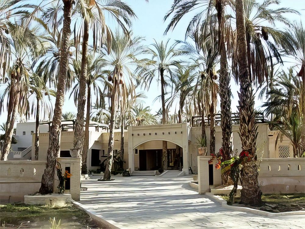 Eden Palm