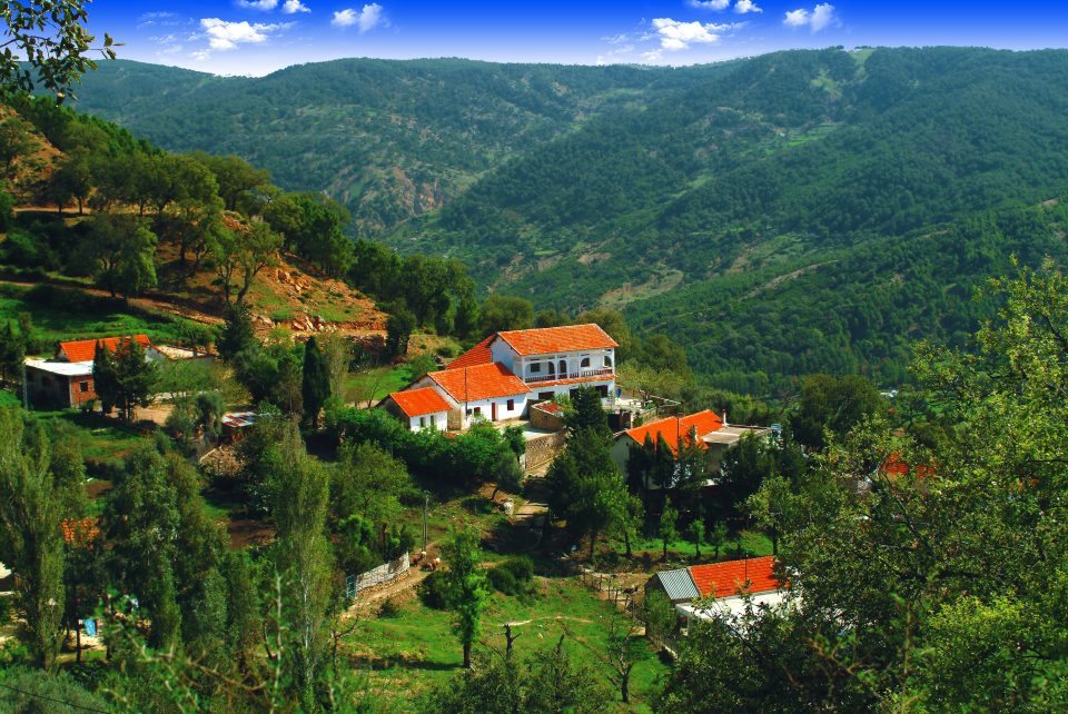 Paysage de Aïn Draham, Tunisie