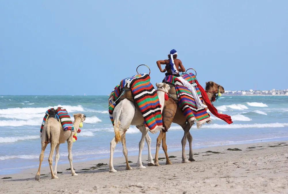 Paysage de Djerba, Tunisie