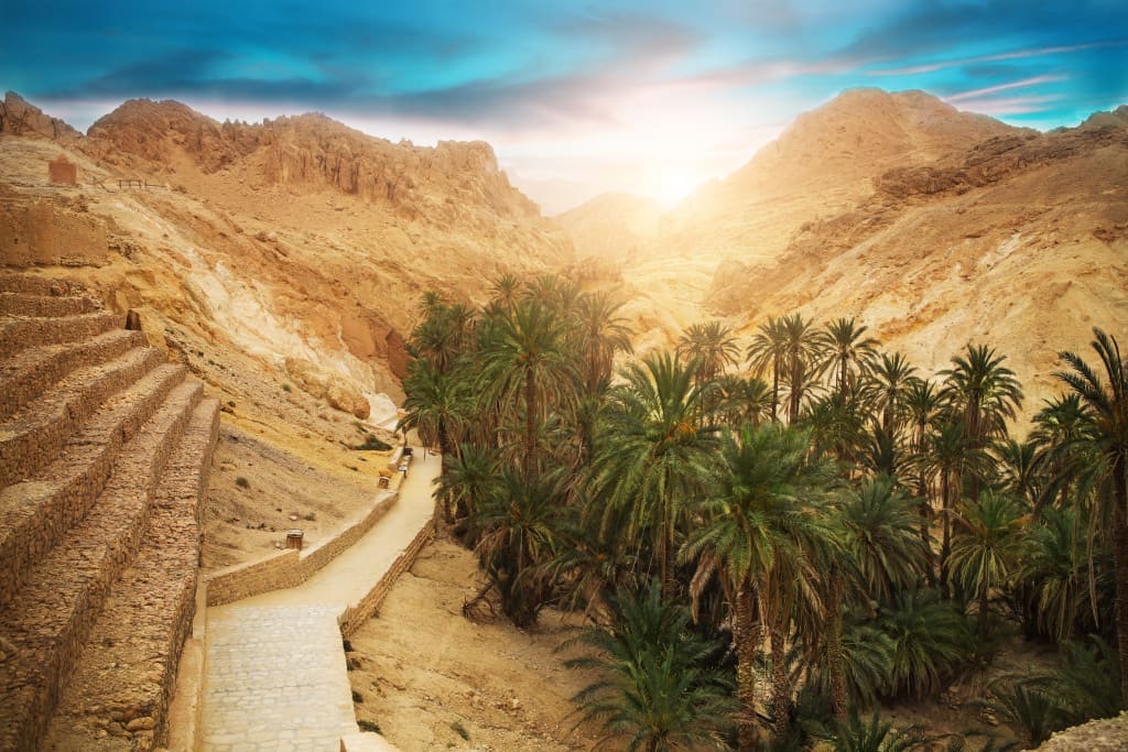 Paysage de Tozeur, Tunisie